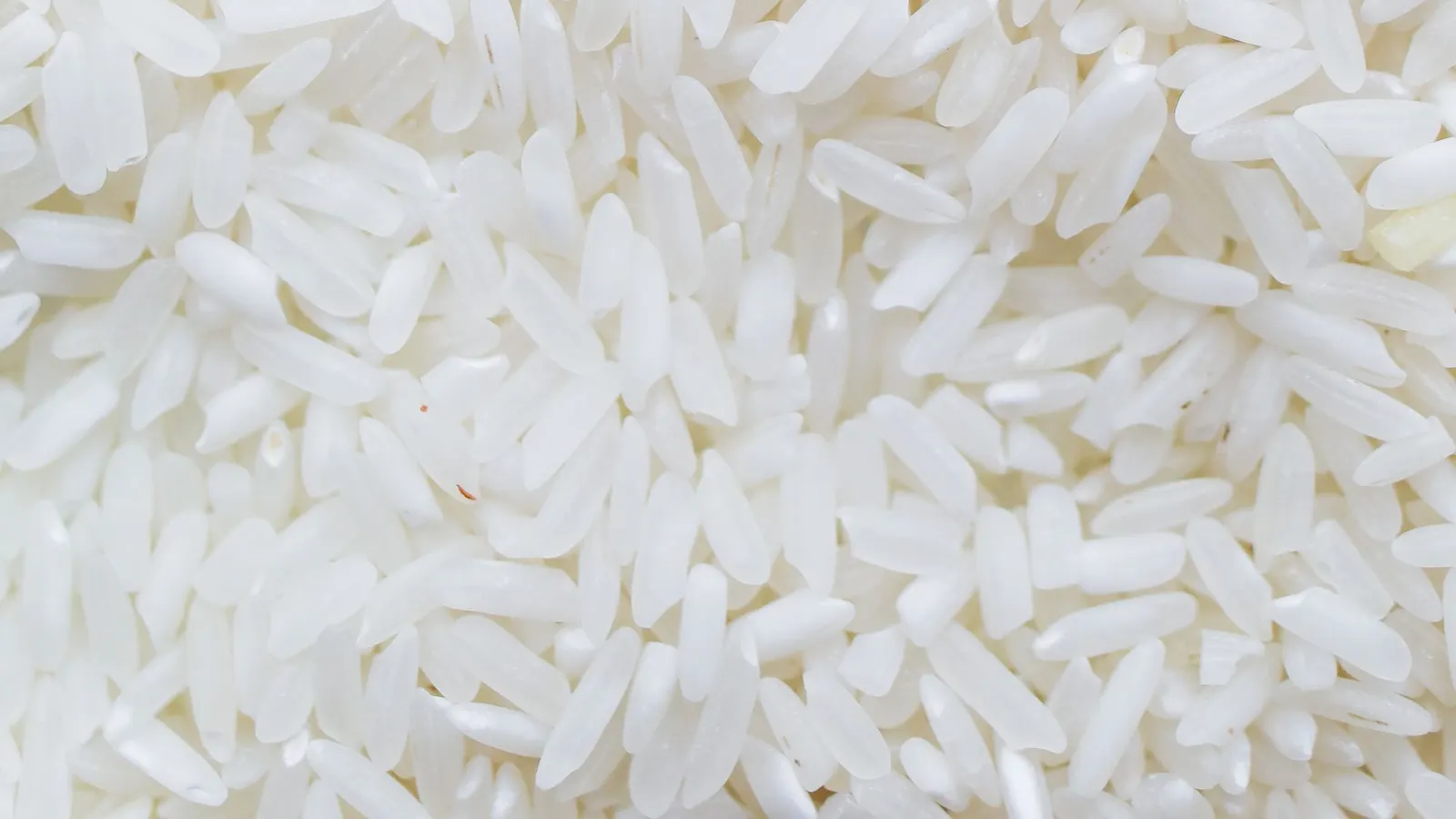 Close-up of uncooked long-grain white rice